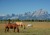 Chicago to Seattle: A Cross-Country Adventure