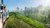 Explore the magical wildlife of Sri Lanka