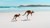 Discover the dual wonders of Western and South Australia